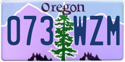 OR license plate 073WZM