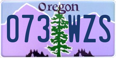 OR license plate 073WZS