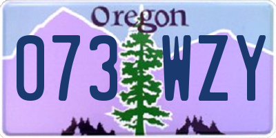 OR license plate 073WZY