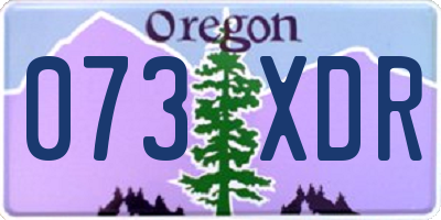 OR license plate 073XDR