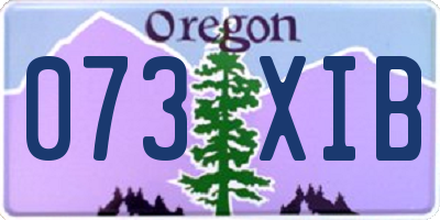 OR license plate 073XIB