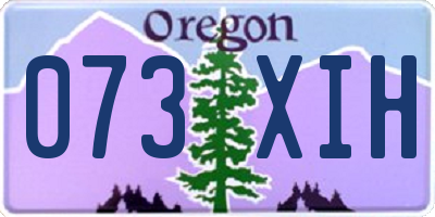 OR license plate 073XIH