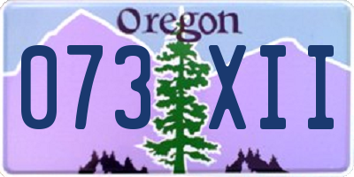 OR license plate 073XII