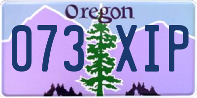 OR license plate 073XIP