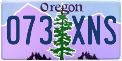 OR license plate 073XNS
