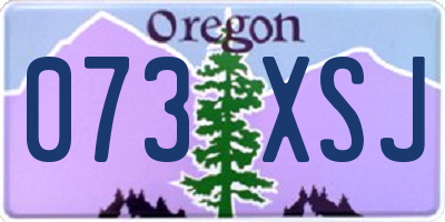 OR license plate 073XSJ