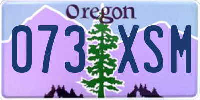 OR license plate 073XSM