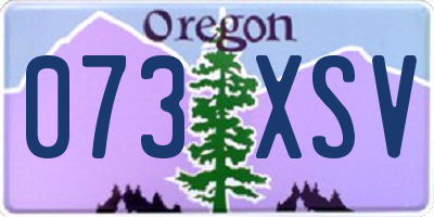 OR license plate 073XSV