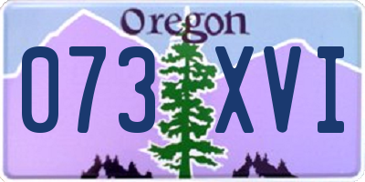 OR license plate 073XVI