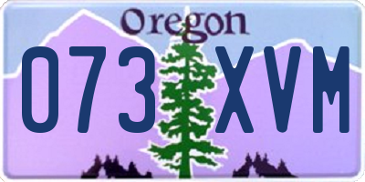 OR license plate 073XVM