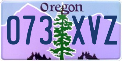 OR license plate 073XVZ