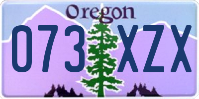 OR license plate 073XZX