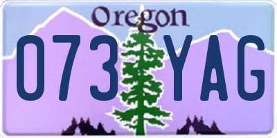 OR license plate 073YAG