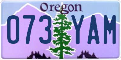 OR license plate 073YAM