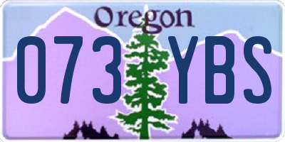 OR license plate 073YBS