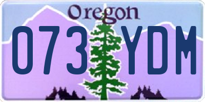 OR license plate 073YDM