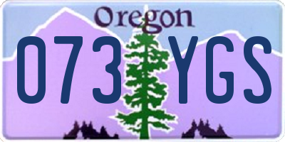 OR license plate 073YGS