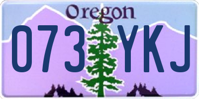 OR license plate 073YKJ