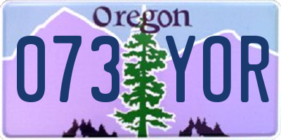 OR license plate 073YOR