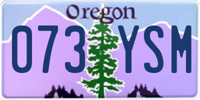 OR license plate 073YSM