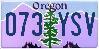 OR license plate 073YSV