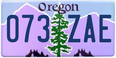 OR license plate 073ZAE