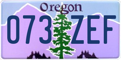OR license plate 073ZEF