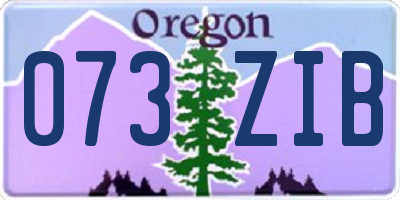 OR license plate 073ZIB