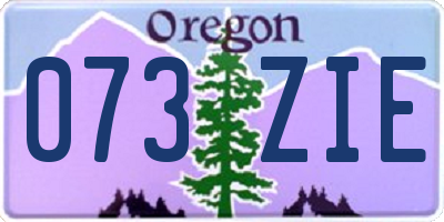 OR license plate 073ZIE