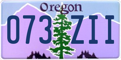 OR license plate 073ZII