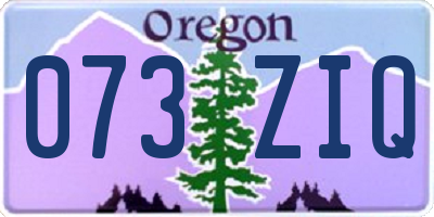 OR license plate 073ZIQ