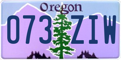 OR license plate 073ZIW