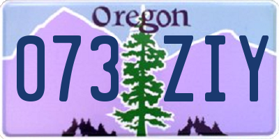OR license plate 073ZIY
