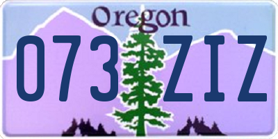 OR license plate 073ZIZ