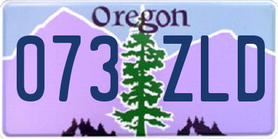 OR license plate 073ZLD