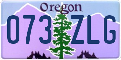 OR license plate 073ZLG