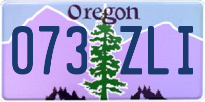 OR license plate 073ZLI