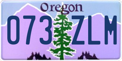 OR license plate 073ZLM