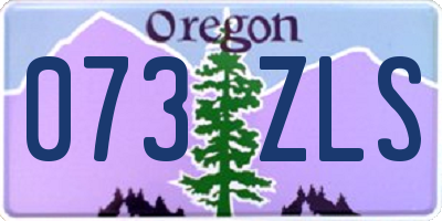 OR license plate 073ZLS