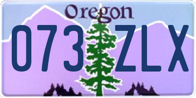 OR license plate 073ZLX
