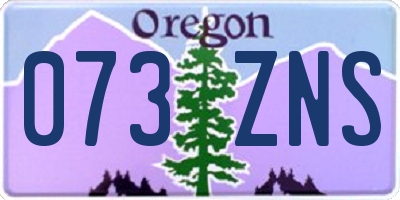 OR license plate 073ZNS