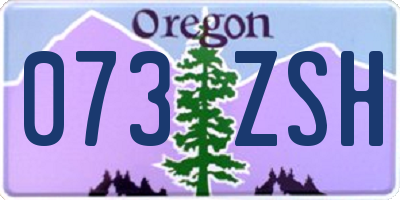 OR license plate 073ZSH