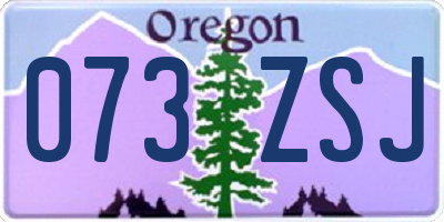 OR license plate 073ZSJ