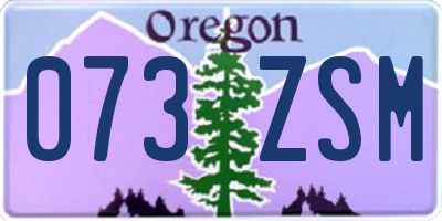 OR license plate 073ZSM