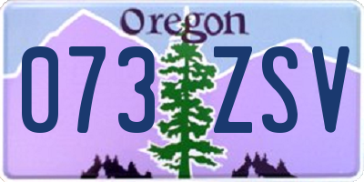 OR license plate 073ZSV