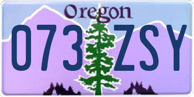 OR license plate 073ZSY