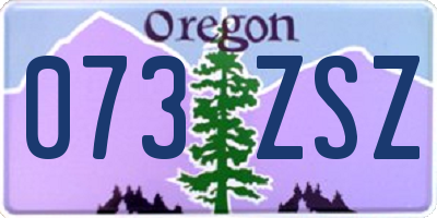 OR license plate 073ZSZ