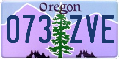 OR license plate 073ZVE