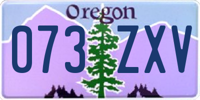 OR license plate 073ZXV
