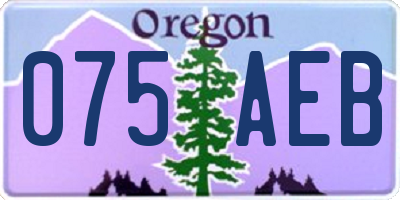 OR license plate 075AEB